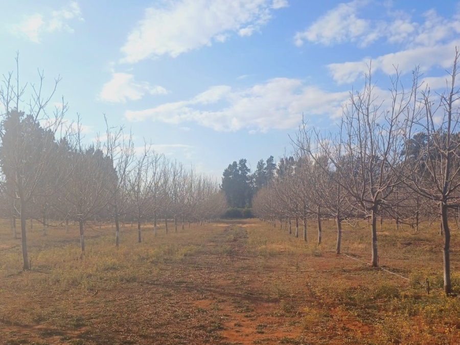 6 Bedroom Property for Sale in Hartswater Northern Cape